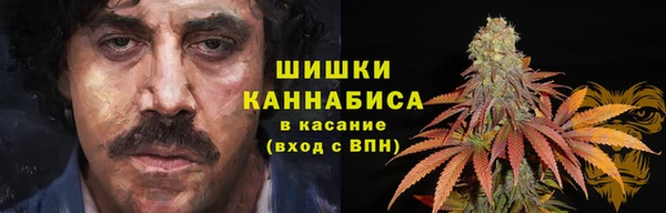 a pvp Богданович