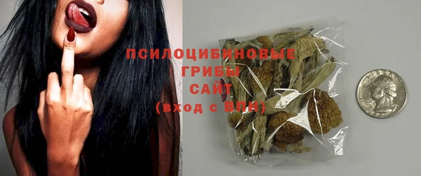 прущая мука Богородск