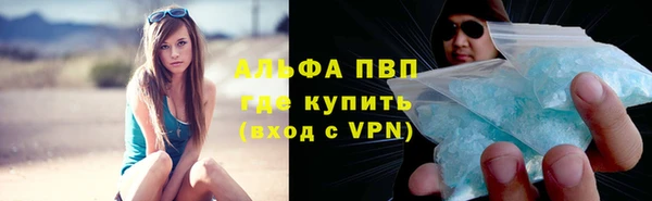 ECSTASY Богородицк