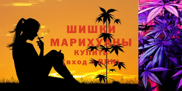 a pvp Богданович