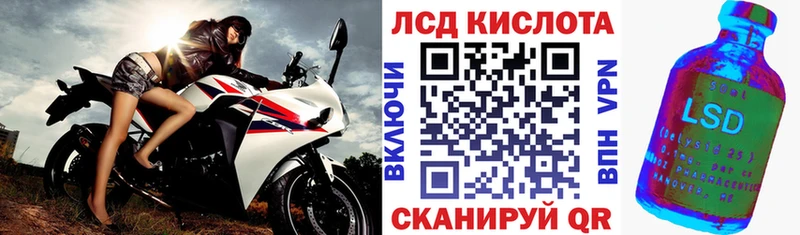 shop наркотические препараты  Елизово  Марки N-bome 1,5мг  как найти закладки 