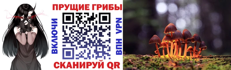 KRAKEN ONION  купить наркотик  Елизово  Галлюциногенные грибы ЛСД 